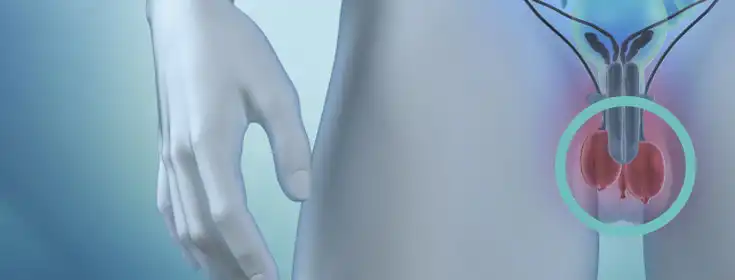 USG jąder moszny kraków