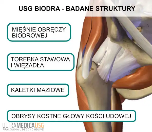 USG biodra, stawu biodrowgo Kraków