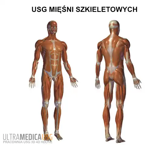 USG mięśni Kraków