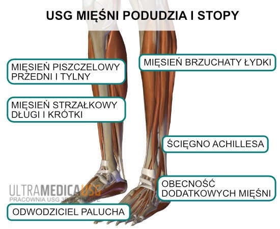 USG mięśni podudzia i stopy