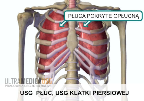 USG płuc (opłucnej), USG klatki piersiowej Kraków